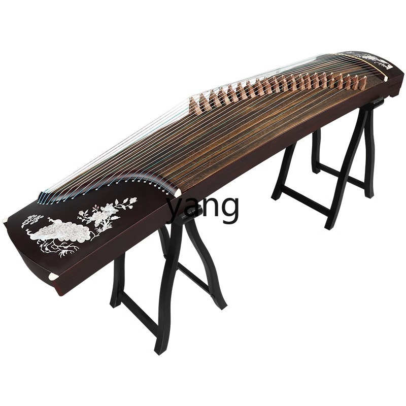 Musical Instrument Qin - 테스트 입문자용 10급 전문 성인 교육용