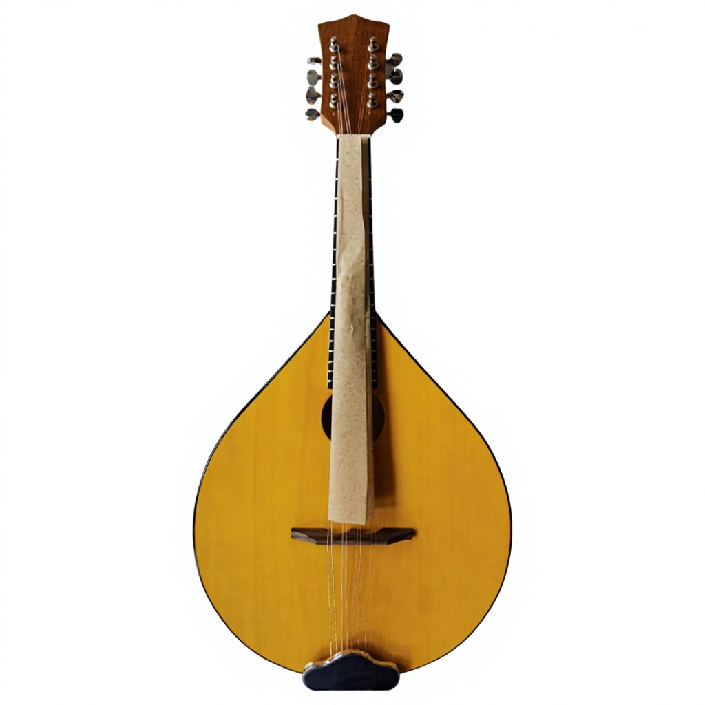 Musical Instrument Banjo - 8현 어쿠스틱 밴조, 베이스우드 백 및