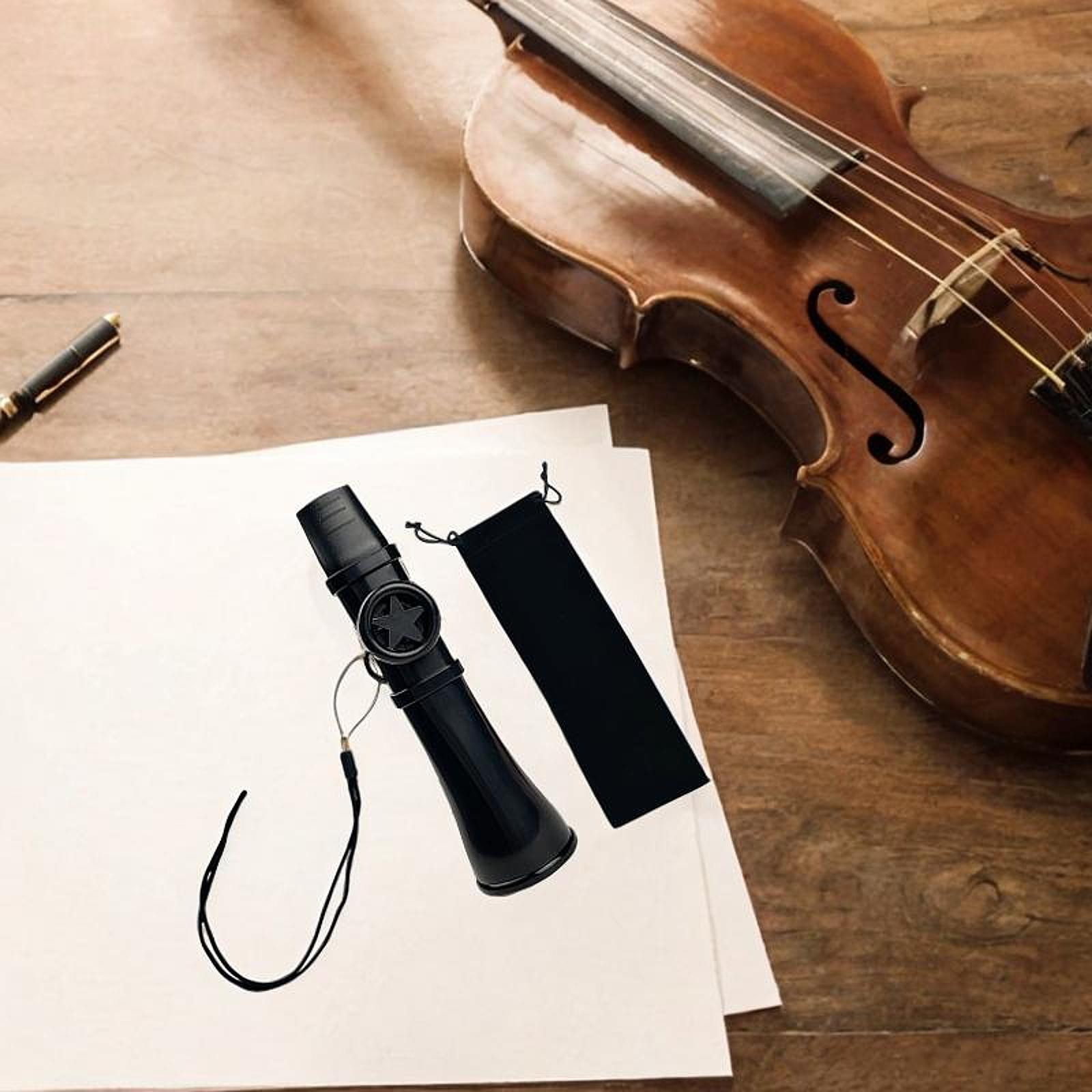 악기 카주 플루트 휴대용 ABS 소재 보관 가방 성인과 - Musical Instrument Qin 리뷰 및 가격