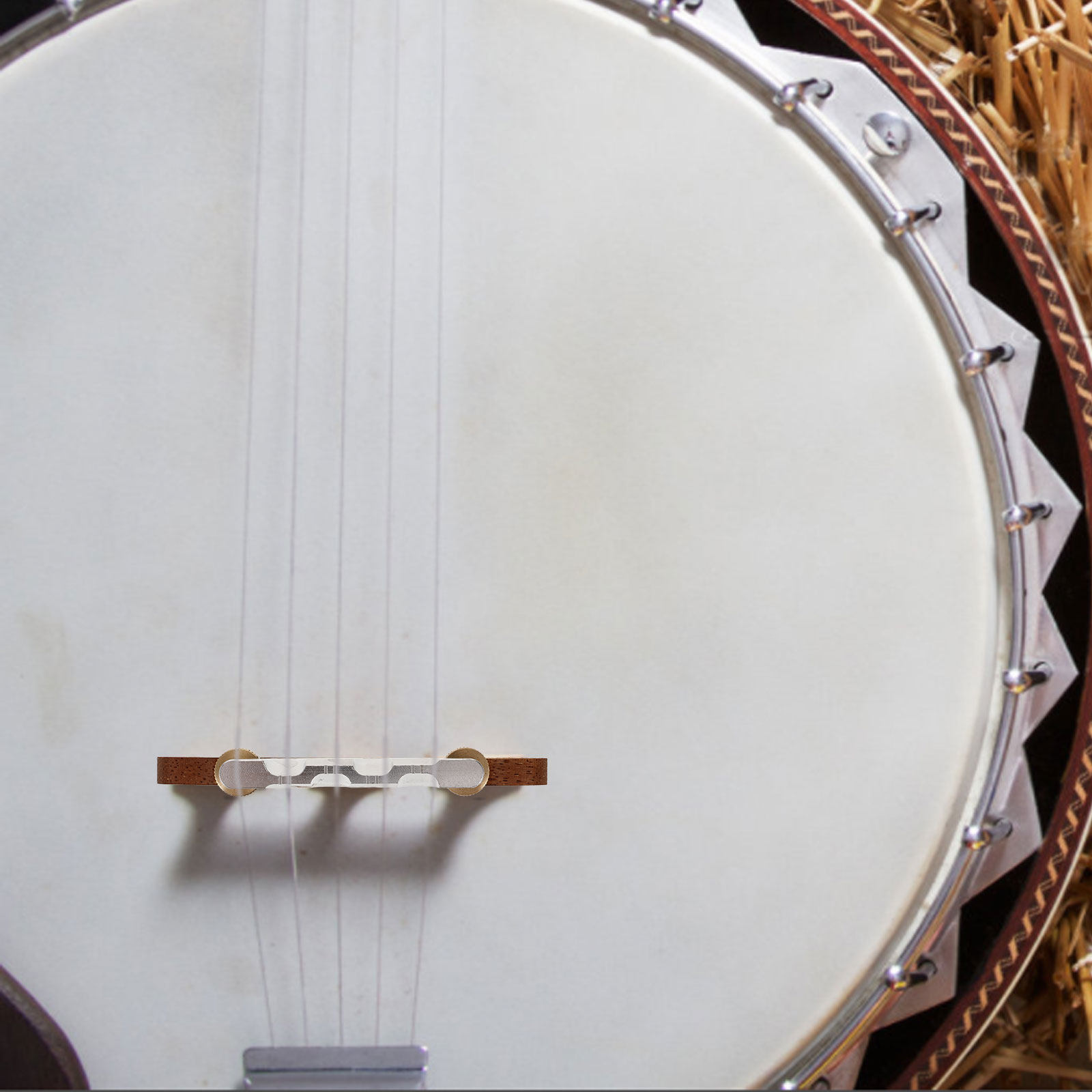 로즈우드 밴조 브리지 전문 목재 교체용 밴조 새들 브리 - Musical Instrument Banjo 리뷰 및 가격